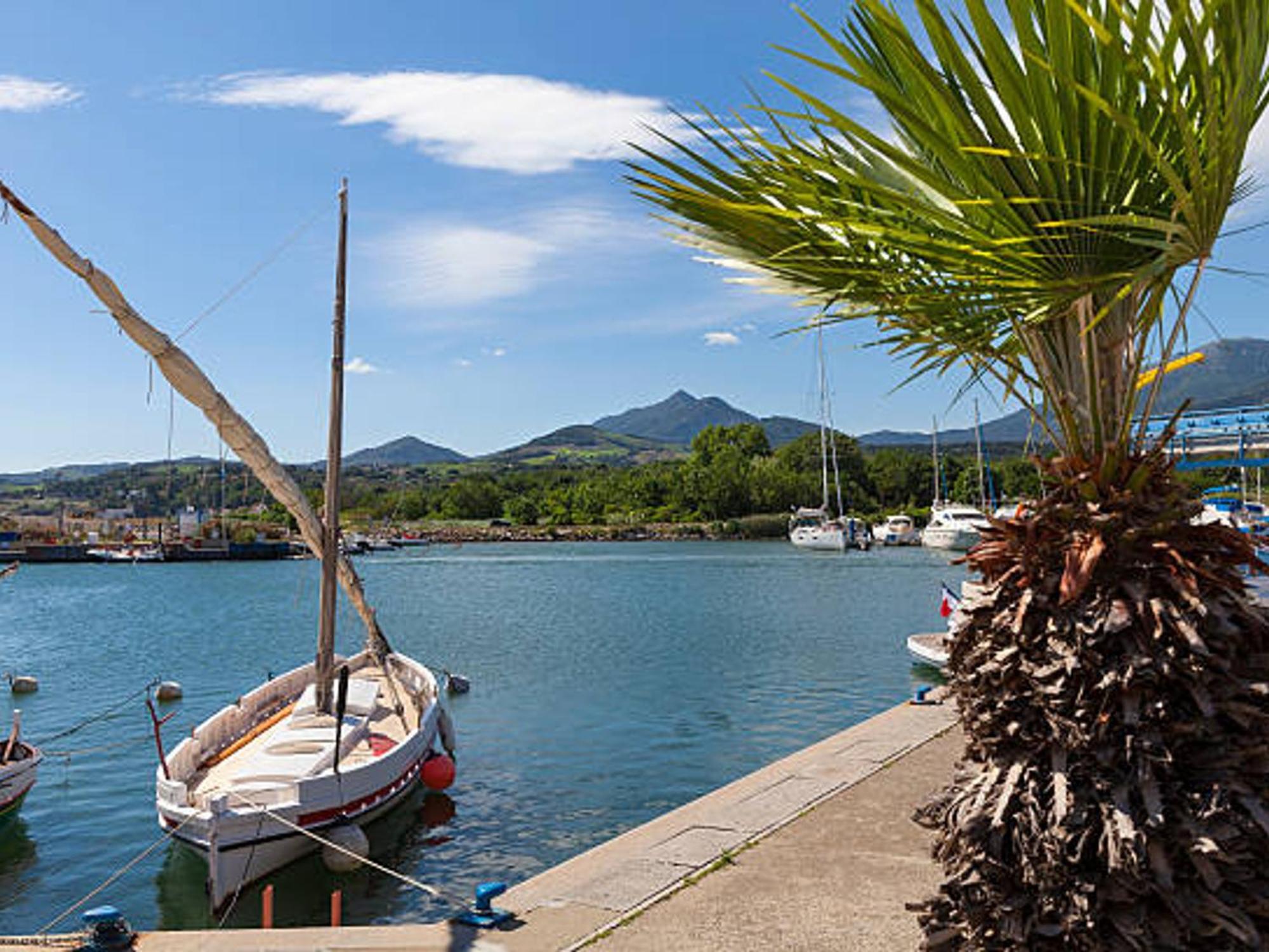 Appartement 4 Couchages A Argeles Plage, Proche Mer Et Commodites - Fr-1-732-62 Eksteriør bilde